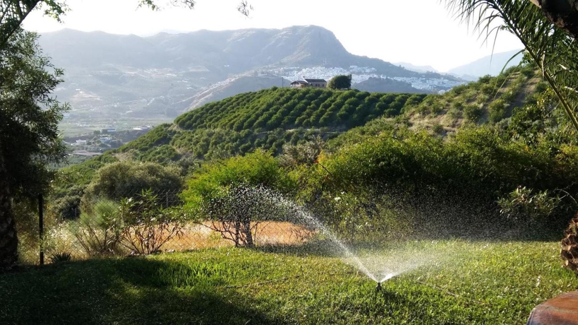 B&B Casa Domingo Alora Εξωτερικό φωτογραφία